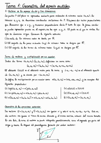 Apuntes-FVV1.pdf