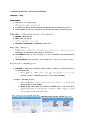 TEMA-20-EPI.pdf