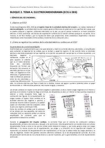 B2T4.pdf