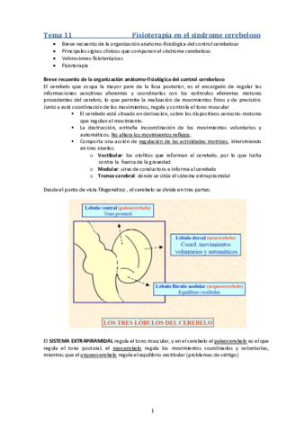 Tema 11. Fisioterapia en el sindrome cerebeloso.pdf