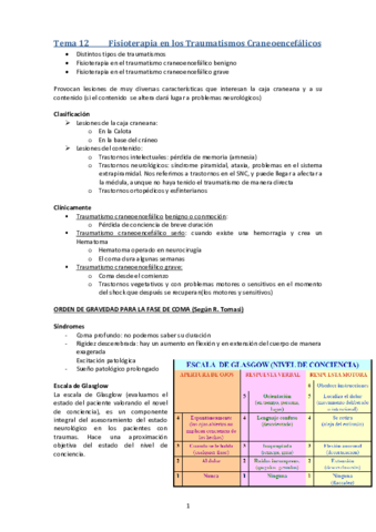 Tema 12. Fisioterapia traumatismo craneoencefalico.pdf