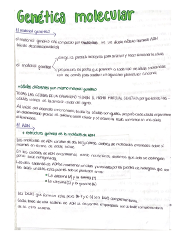 Biologia-tema-genetica-molecular-4eso.pdf