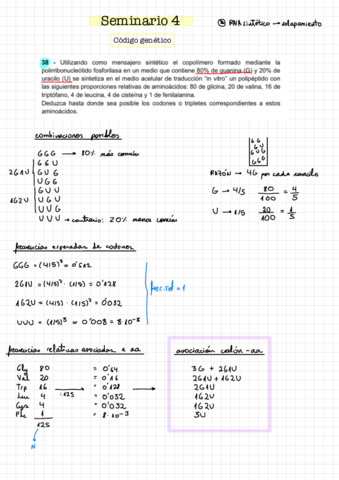 Sem-4o-parcial-genetica-1.pdf