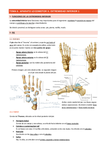 Tema-6-Aparato-Locomotor-II.pdf