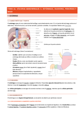 Tema-16-Visceras-Abdominales-II.pdf