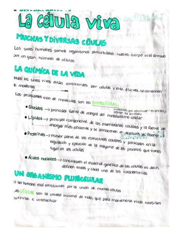 Biologia-3eso-tema-la-celula-viva.pdf