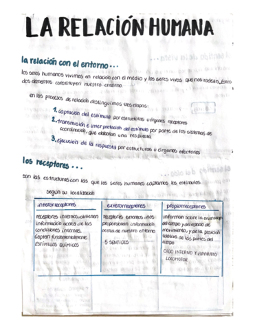 Biologia-3eso-tema-la-relacion-humana.pdf