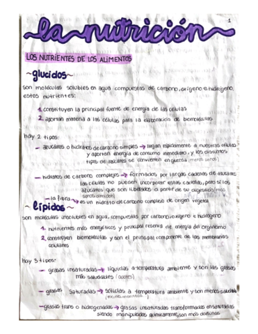 Biologia-3eso-tema-nutricion.pdf