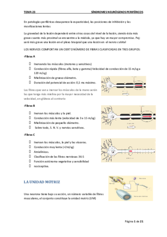 Tema 23. SÍNDROME NEURÓGENO PERIFÉRICO.pdf