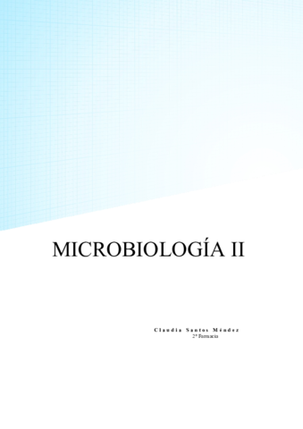 MICRO-II-APUNTES COMPLETOS.pdf