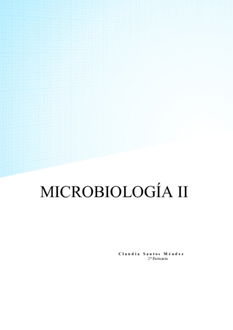 MICRO-II-APUNTES COMPLETOS.pdf