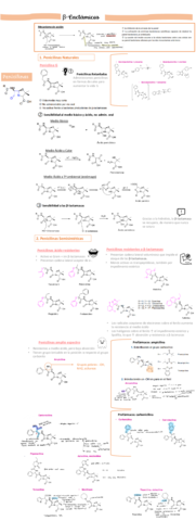 Penicilinas-Esquema.pdf