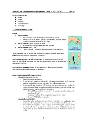 Tema 27. Fis parálisis periféricas tronculares de mmss (T10 Mt IV).pdf