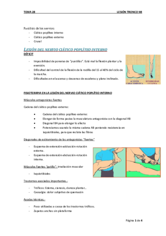 Tema 28. Lesión Tronco MI (T11 Mt IV).pdf