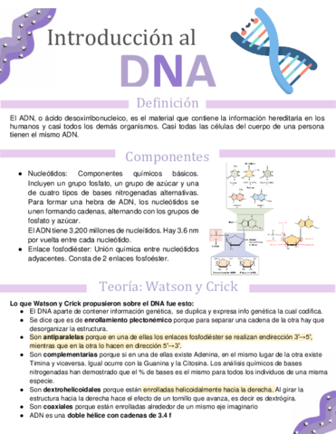 DNA-APUNTEe.pdf