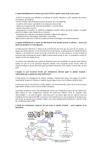 2n-parcial-fisioveg.pdf