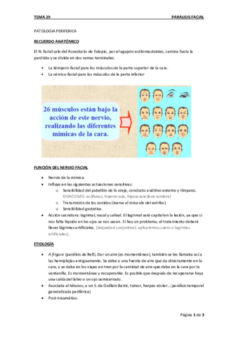 Tema 29. Parálisis Facial.pdf