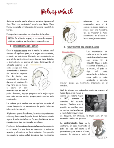 Pelvis-movil.pdf