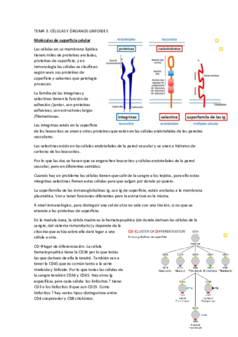 tema-3.pdf