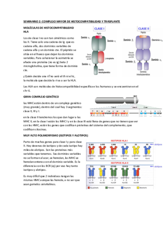 seminario-2.pdf