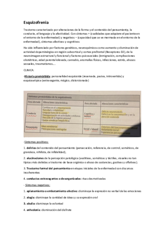 FICHAS-TECNICAS-1-CUATRI.pdf