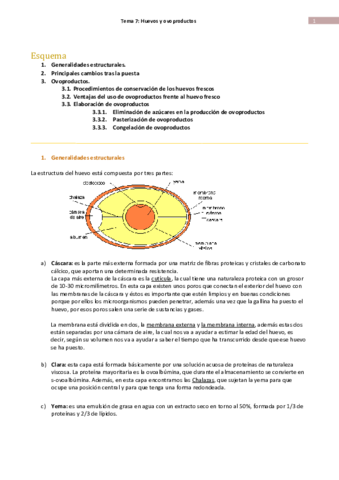 Tema 7-Huevos y Ovoproductos.pdf