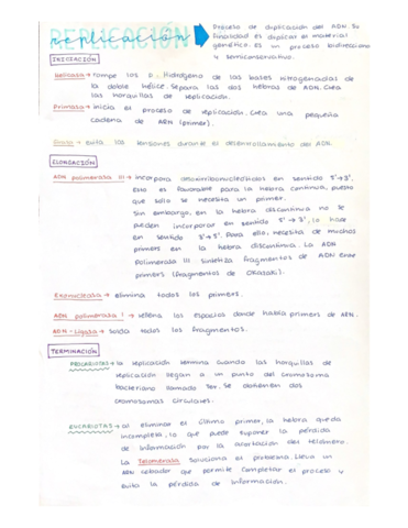 Replicacion-traduccion-y-transcripcion.pdf