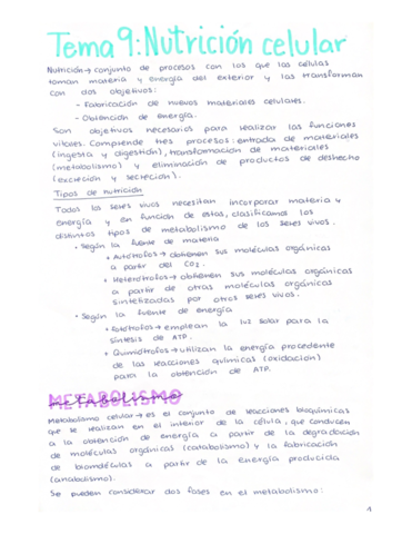 Nutricion-celular.pdf