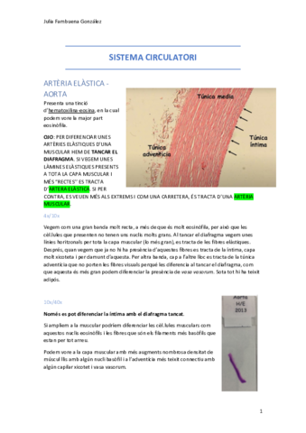 HPC-Histologia-JFG.pdf