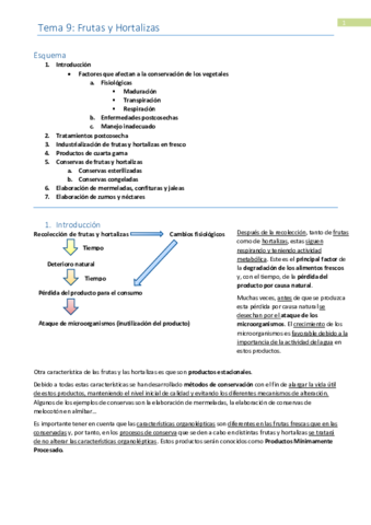 Tema 9-Frutas y Hortalizas.pdf