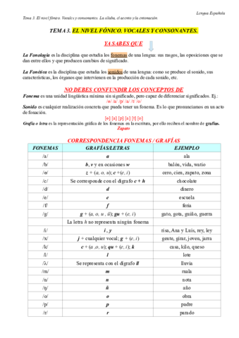 resumenlenguatema03.pdf