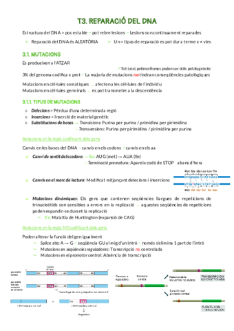 REPARACIO-DEL-DNA-1.pdf