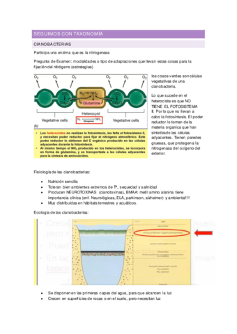 apuntes-microbiologia-2.pdf