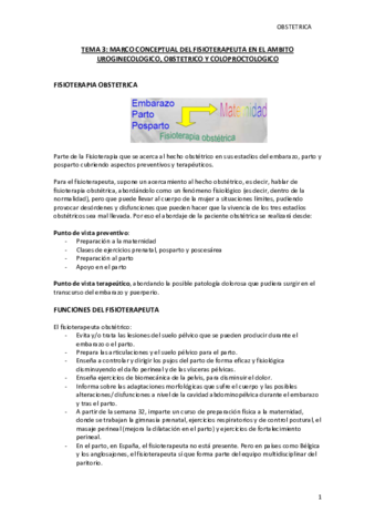 TEMA 3.pdf