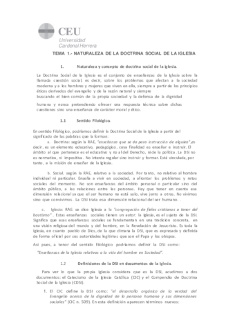 TEMA-1-DSI-NATURALEZA-Y-CONCEPTO-DSI1.pdf