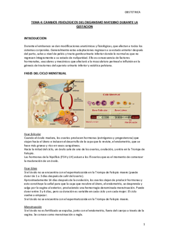 TEMA 4.pdf