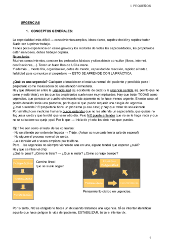 Urgencias-peques.pdf