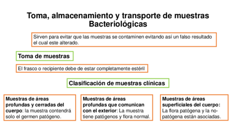 Almacenamiento-de-transporte-de-las-muestras-bacteriologicas.pdf