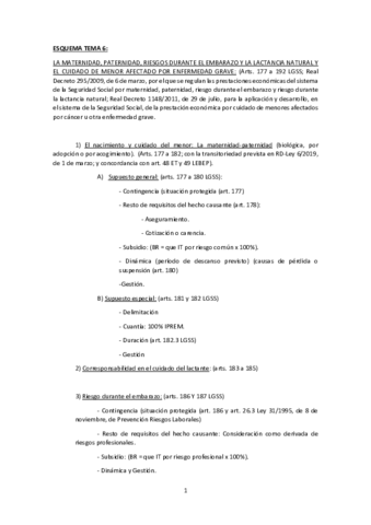 ESQUEMA-TEMA-6.pdf