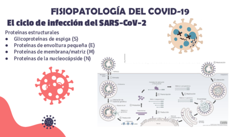Fisiopatologia-del-Covid-19.pdf