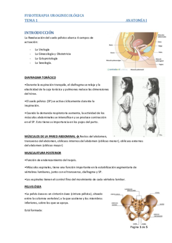 Tema 1.pdf