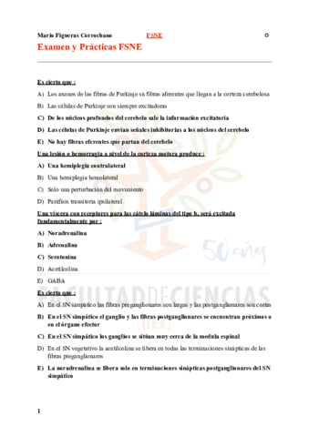 Examen-FSNE-3.pdf