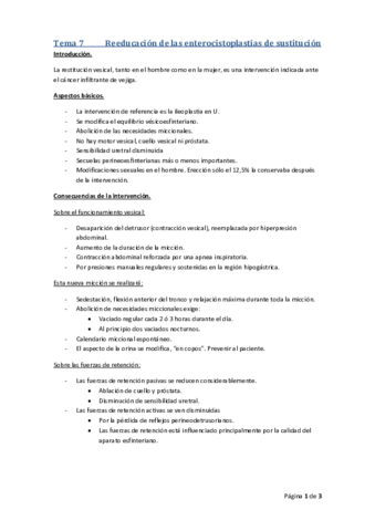 Tema 7.pdf