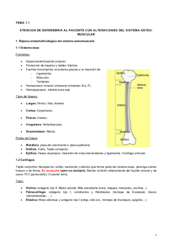 1.1 Alteración en el sistema ósea-muscu