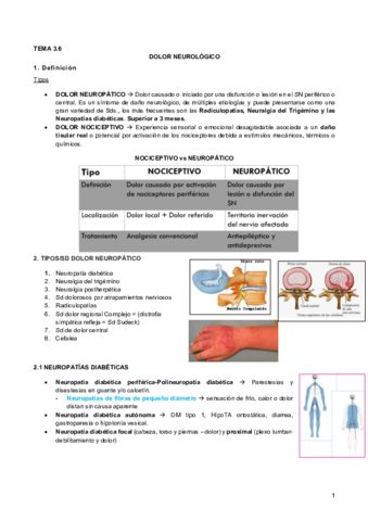 3.6 Dolor neurológico