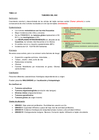 3.5 Tumores del SNC