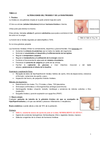 4.3 Alteración tiroides y paratiroides