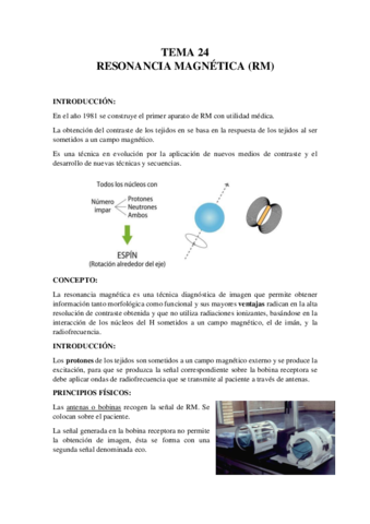 TEMA-24.pdf