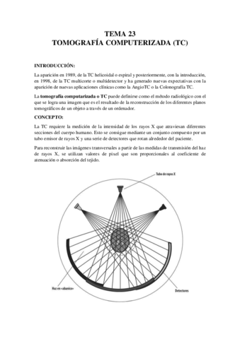 TEMA-23.pdf