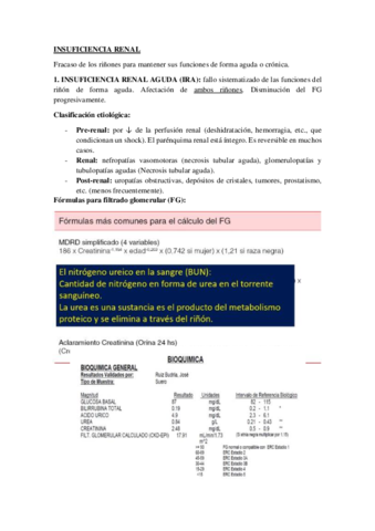INSUFICIENCIA-RENAL.pdf